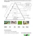 Energy Pyramid Cartoon / Illustration, Animal, Matter, Food Chain regarding Ecological Pyramids Worksheet Answer Key