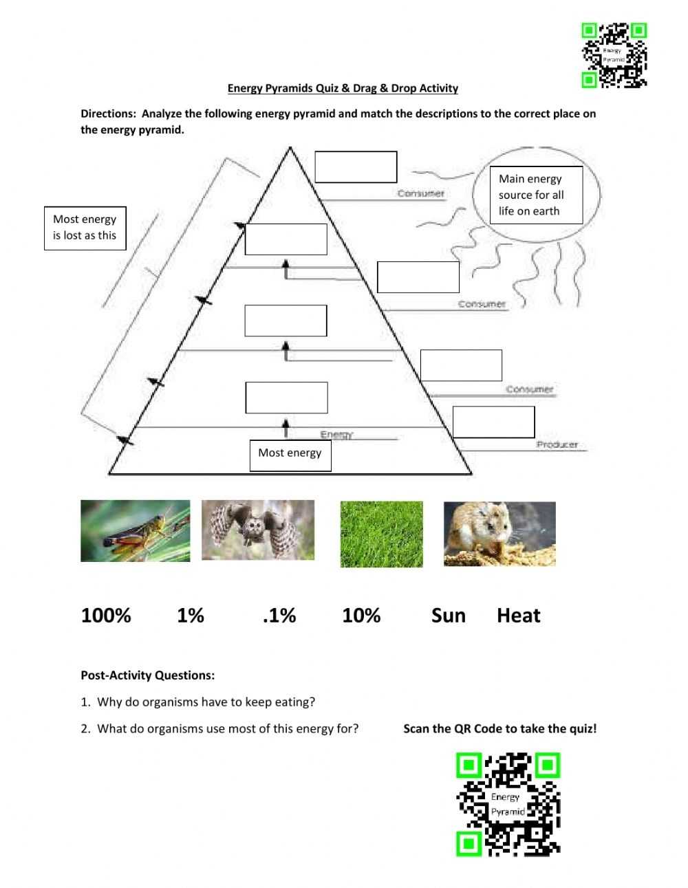 Energy Pyramid Cartoon / Illustration, Animal, Matter, Food Chain regarding Ecological Pyramids Worksheet Answer Key