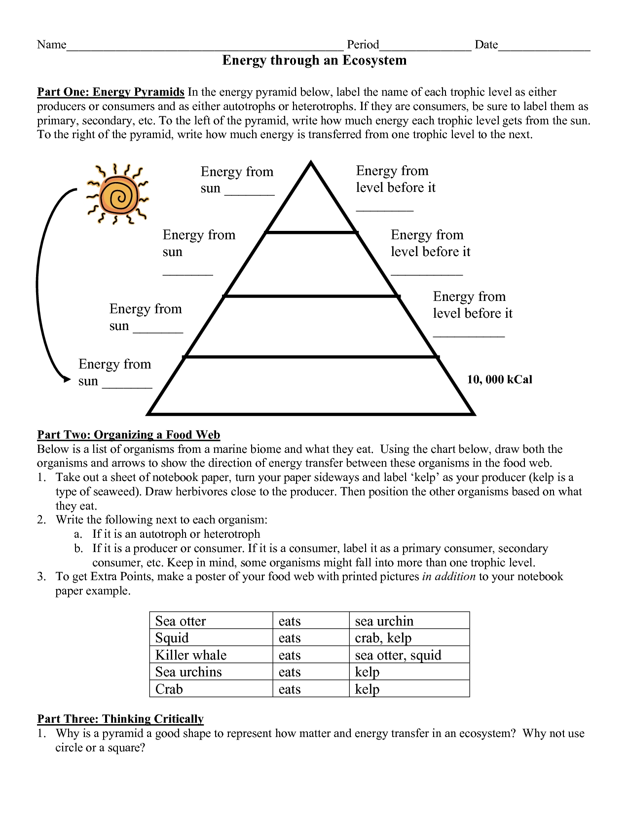 Energy Pyramid Worksheet Answer Key within Ecological Pyramids Worksheet Answers