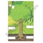 English Worksheets: Lable The Parts Of A Tree Within Parts Of A Tree Worksheet