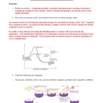 (Enzyme Study Guide) Answers within Enzyme Reactions Worksheet Answers