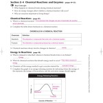 Enzymes And Chemical Reactions Homework Study Guide Answer Key - Study in Enzymes Worksheet Answer Key