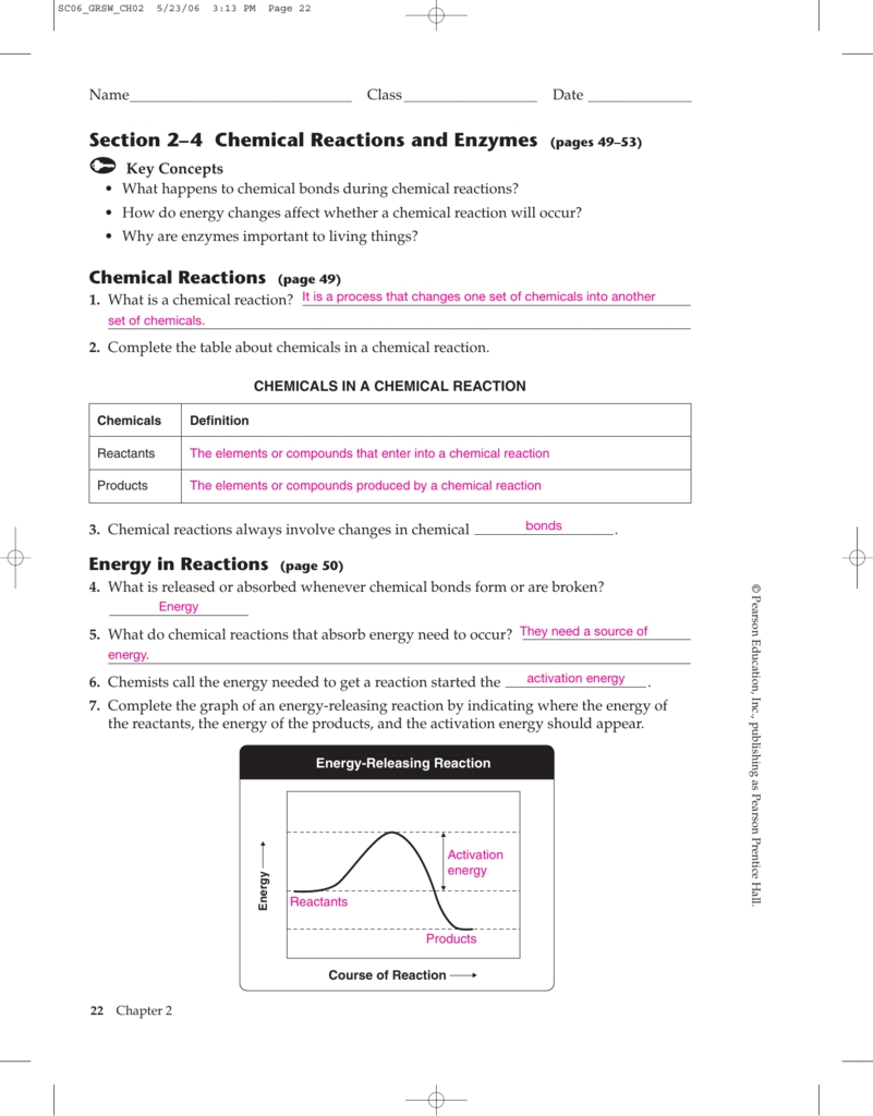 Enzymes And Chemical Reactions Homework Study Guide Answer Key - Study in Enzymes Worksheet Answer Key
