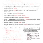 Evidence For Evolution Worksheet Answers In Evidence Of Evolution Worksheet