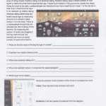 Evidence Of Evolution Worksheet Answers | Education Template inside Evidence For Evolution Worksheet Answers
