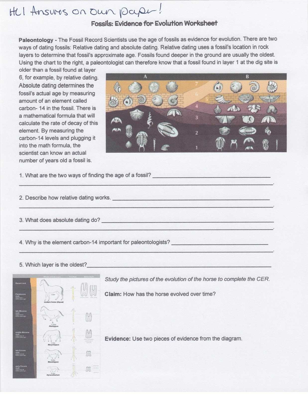 Evidence Of Evolution Worksheet Answers | Education Template inside Evidence For Evolution Worksheet Answers