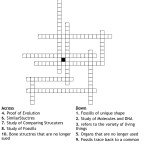 Evidence Of Evolution Worksheet With Evidence For Evolution Worksheet