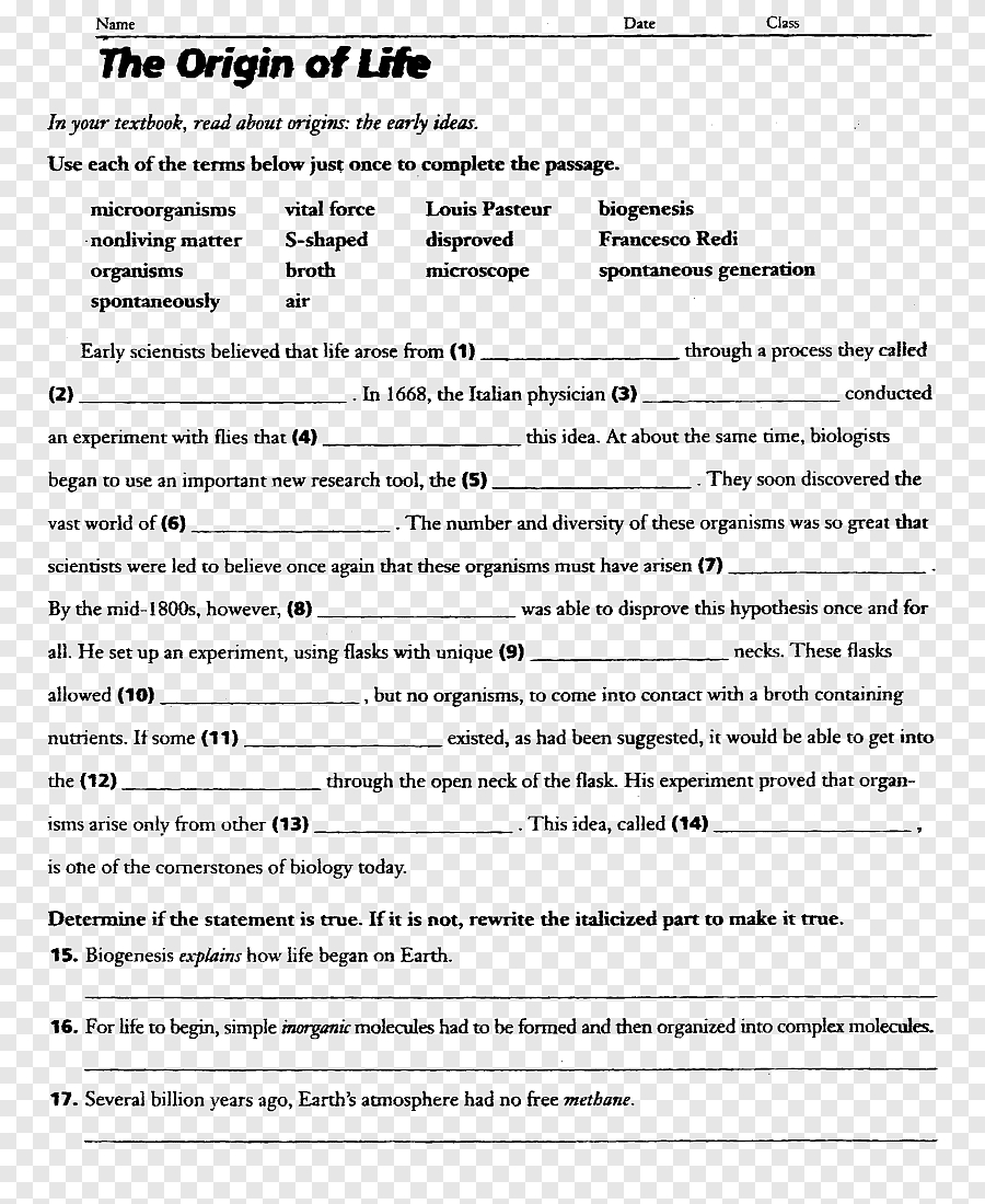 Evolution And Natural Selection Worksheet - Word Worksheet inside Evolution And Natural Selection Worksheet