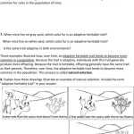 Evolution By Natural Selection Worksheet — Db Excel Intended For Evolution And Natural Selection Worksheet