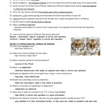 Evolution Worksheet Answers – Farrahfayy Pertaining To Types Of Evolution Worksheet