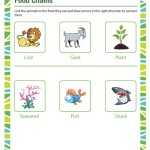 Food Chains – Printable 2Nd Grade Science Worksheet Inside Food Chain Worksheet Pdf