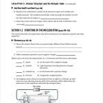 Free 7+ Sample Atomic Structure Worksheet Templates In Ms Word | Pdf For Atomic Structure Worksheet Pdf