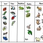 Free Animal Classification Worksheets Rebbret with Animal Classification Worksheet Pdf