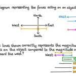 Free Body Diagram Worksheet Answers regarding Free Body Diagram Worksheet Answers