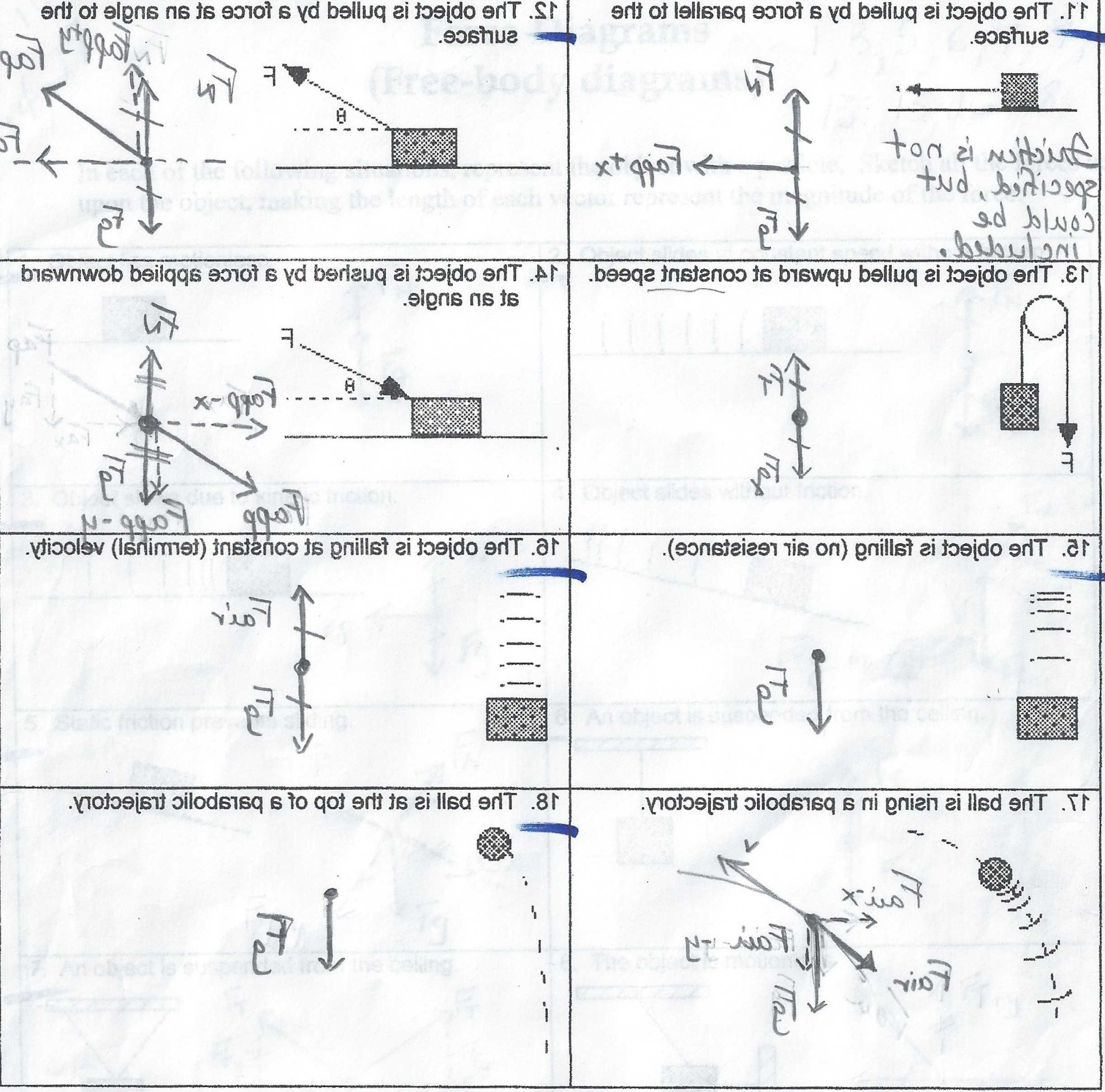 Free Body Diagram Worksheet Physics | Lemonwho In Free Body Diagram Worksheet Answers