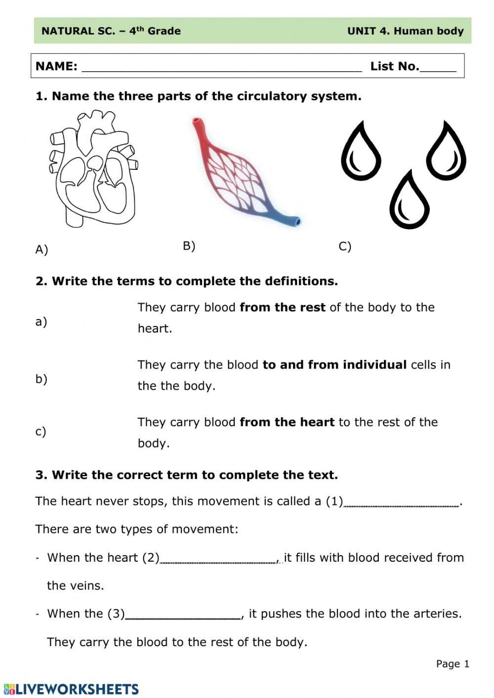 Fresh How The Circulatory System Works Worksheet Answers - The Within Circulatory System Worksheet Answers