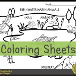 Freshwater Habitat Worksheets For Preschool With Regard To Planet Earth Freshwater Worksheet