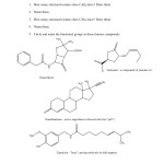 Functional Group Practice Worksheet Pertaining To Functional Group Practice Worksheet