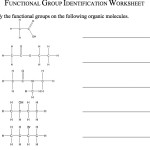 Functional Group Practice Worksheet With Answers – Function Worksheets Regarding Functional Group Practice Worksheet