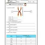 Genetic Worksheet With Genetics Worksheet Middle School
