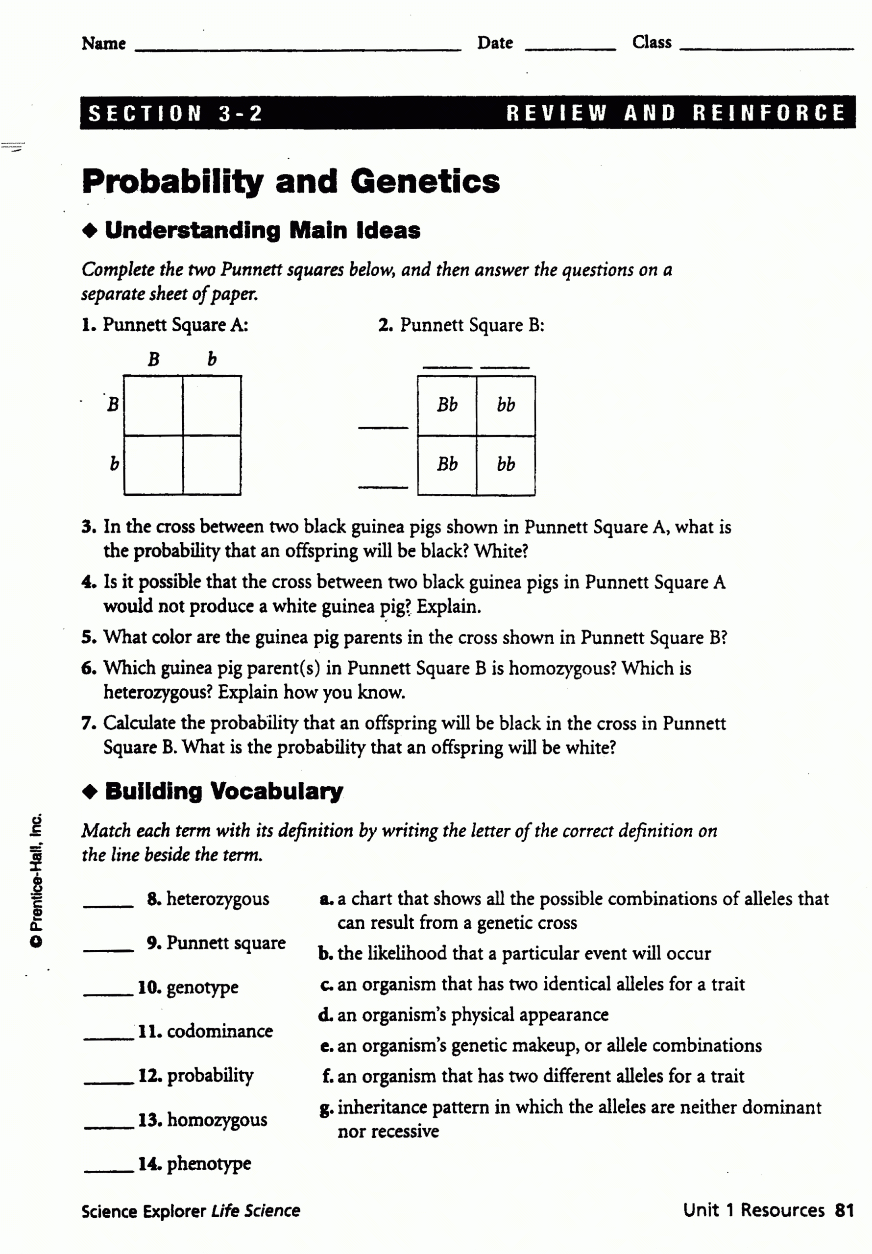 Genetics - 7 Red Team with regard to Genetics Worksheet Middle School