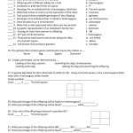 Genetics Chapter Review Worksheet In Genetics Worksheet Middle School