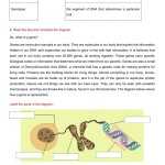 Genetics – Mendelian Genetics Worksheet In Genetics Worksheet Middle School