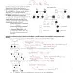 Genetics Pedigree Worksheet Answer Key — Db Excel With Pedigree Worksheet Answer Key