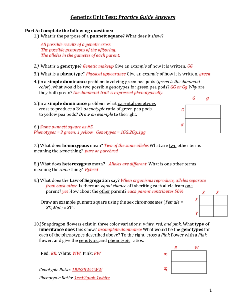 Genetics-Practice-Guide in Genetics Practice Problem Worksheet
