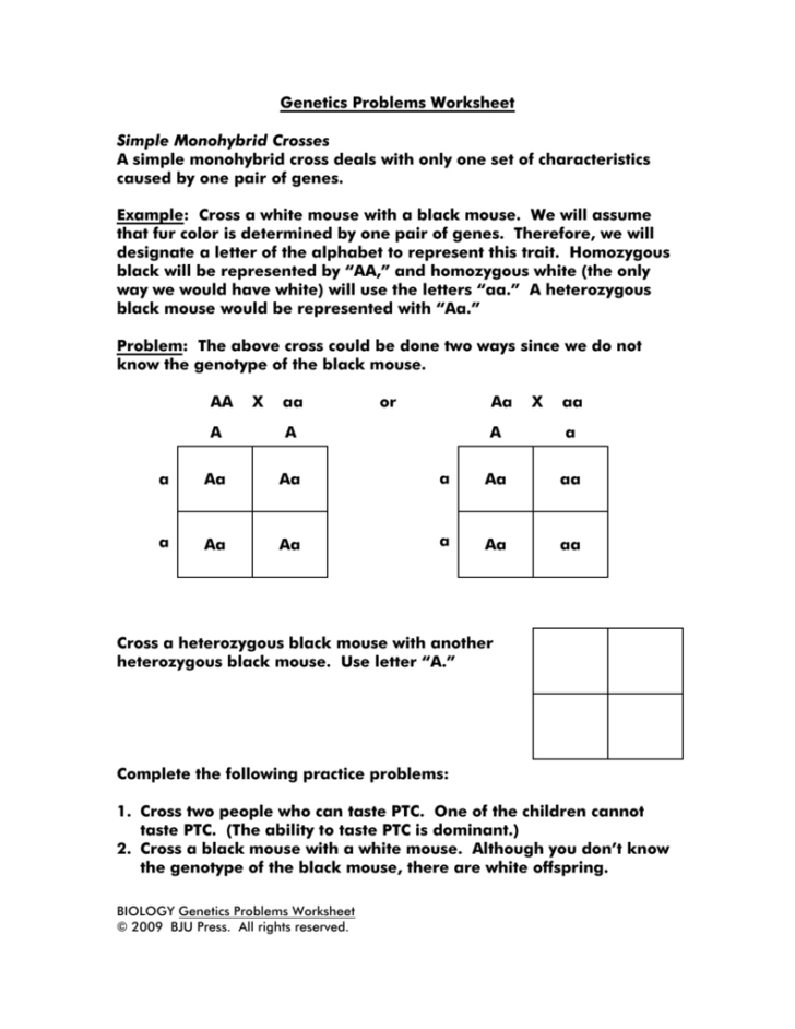Genetics Practice Problems 3 Monohybrid Problems Worksheet 1 Answers — Db Excel Regarding Genetics Practice Problems Worksheet