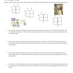 Genetics Practice Problems 3 Monohybrid Problems Worksheet 1 Answers — Db Excel With Genetics Practice Problems Worksheet