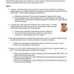 Genetics Practice Problems Worksheet Key — Db Excel Inside Genetics Problems Worksheet Answers