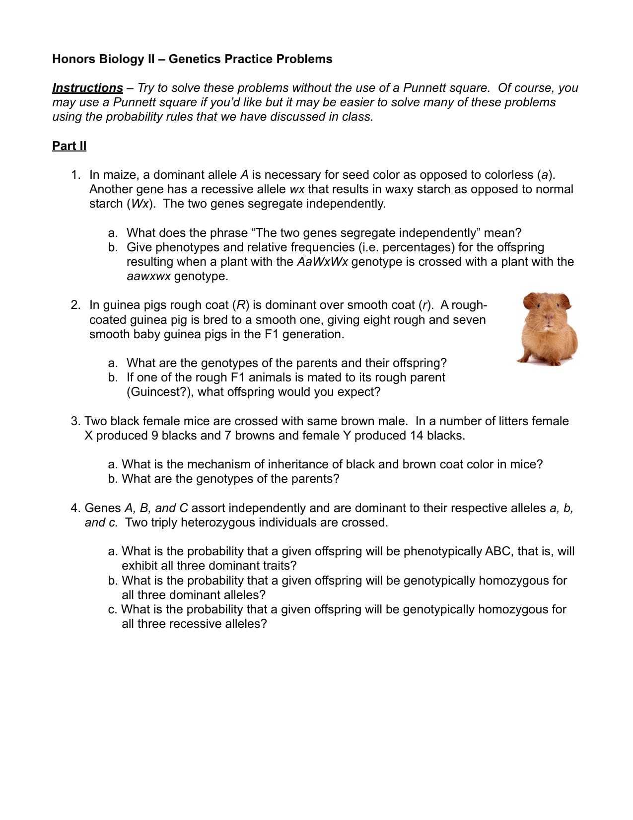 Genetics Practice Problems Worksheet Key — Db Excel Inside Genetics Problems Worksheet Answers