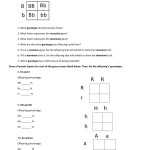 Genetics Problems Worksheet Answers – Word Worksheet With Genetics Problems Worksheet Answers
