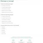 Genotype And Phenotype Worksheet Answer Key Intended For Genotypes And Phenotypes Worksheet Answers