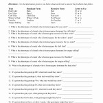 Genotypes And Phenotypes Worksheet For Genotypes And Phenotypes Worksheet Answers