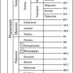 Geologic Time Scale Worksheet / Amy Brown Science Evolution And The For Geological Time Scale Worksheet
