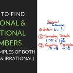 Get The Best, Free Rational And Irrational Numbers Worksheet – Mathcation Inside Rational And Irrational Numbers Worksheet