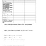 Gizmo Rna And Protein Synthesis Answers + My Pdf Collection 2021 With Nucleic Acids Worksheet Answers