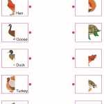 Grade 1 Science Lesson 4 Body Parts Of Animals | Primary Science Intended For Science Worksheet For 1st Grade