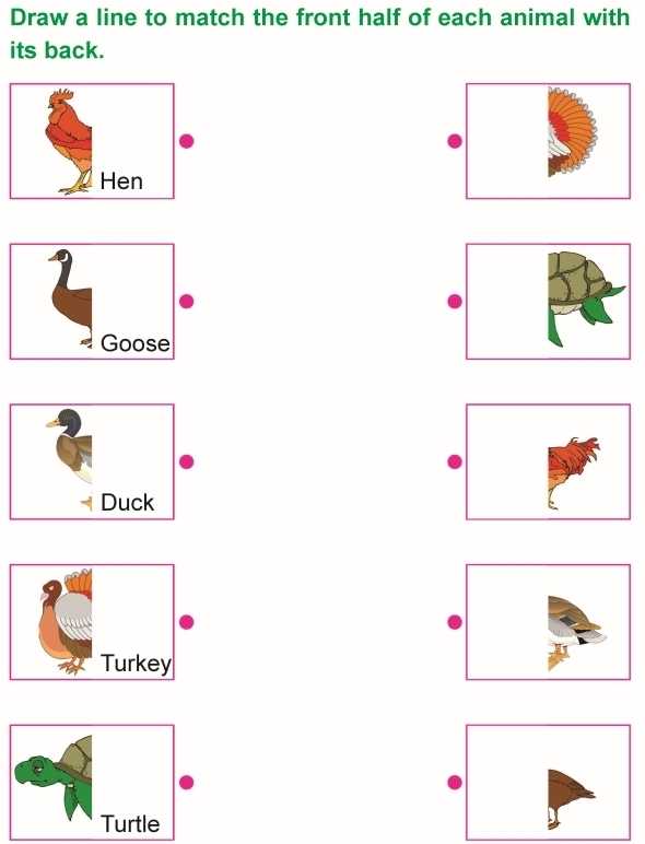 Grade 1 Science Lesson 4 Body Parts Of Animals | Primary Science intended for Science Worksheet For 1st Grade
