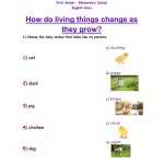 Grade 1 Science Worksheets K5 Learning – Our Body Worksheets K5 For Science Worksheet For 1st Grade