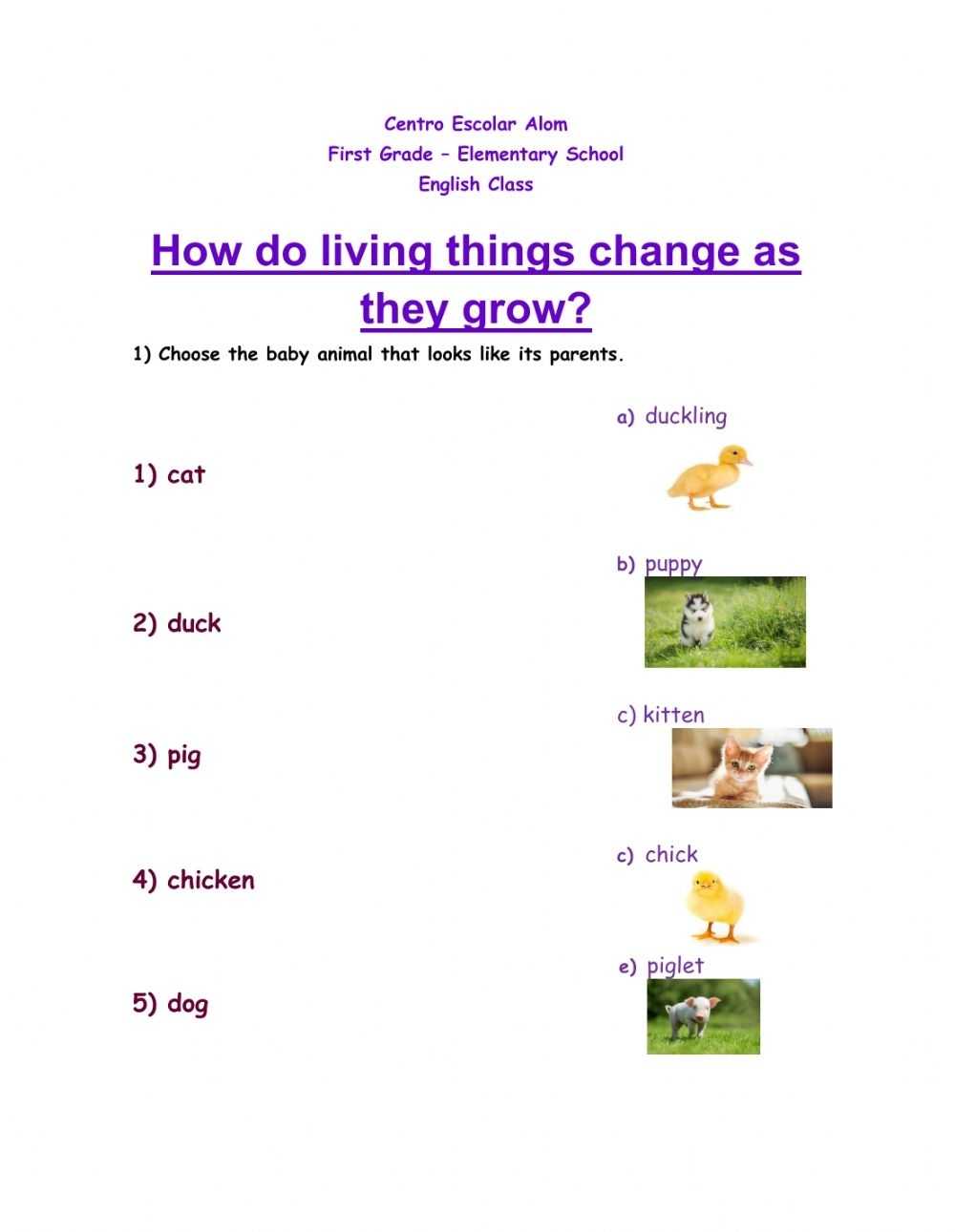 Grade 1 Science Worksheets K5 Learning - Our Body Worksheets K5 For Science Worksheet For 1st Grade