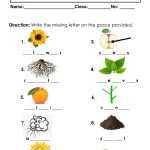 Grade 1 Science Worksheets K5 Learning – Science Worksheets For Grade 1 For Science Worksheet For 1st Grade
