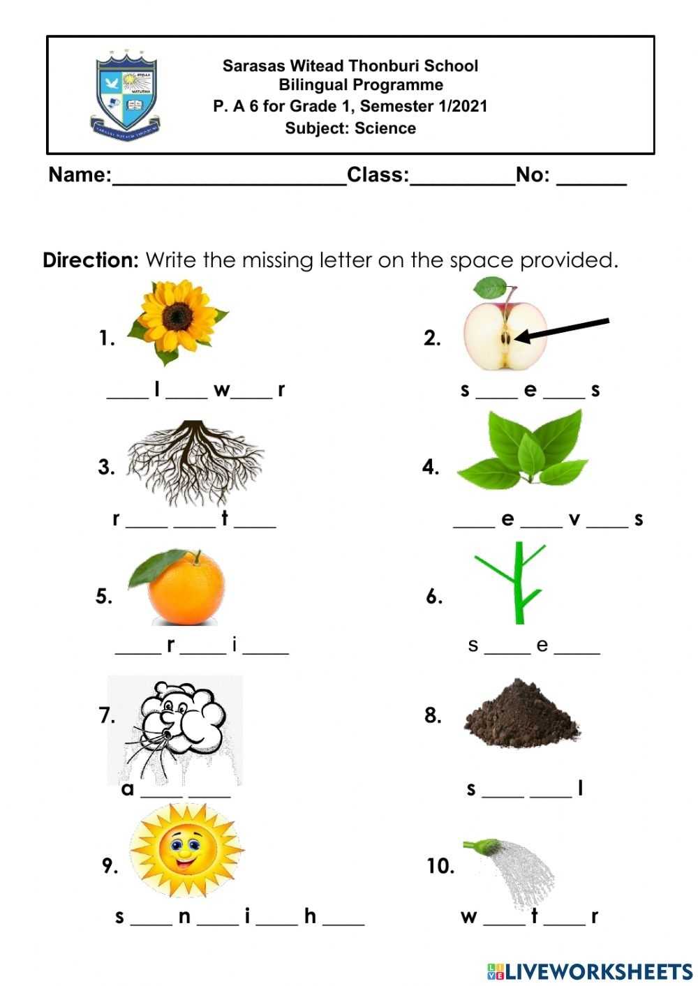 Grade 1 Science Worksheets K5 Learning - Science Worksheets For Grade 1 For Science Worksheet For 1st Grade