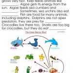 Great Barrier Reef – Reading Food Webs Worksheet In Food Chains And Webs Worksheet