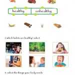 Healthy Bodies Review Worksheet With Inside The Living Body Worksheet