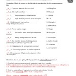 Honors Biology Cell Respiration And Photosynthesis Review Packet Answer Key regarding Cellular Respiration Worksheet Answer Key