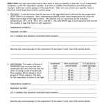 I Have Rights Worksheet Answers – Thekidsworksheet For I Have Rights Worksheet Answers