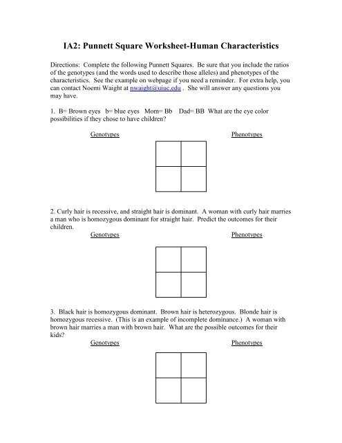 Ia2: Punnett Square Worksheet-Human Characteristics regarding Punnett Square Practice Worksheet Answers